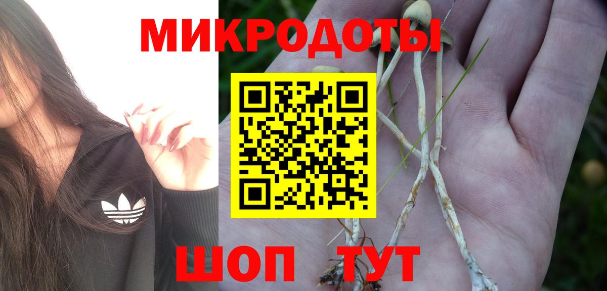 Каспийск  Галлюциногенные грибы Psilocybe  Вход с VPN 